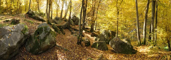 stock image France, Les Vaux de Cernay in Chevreuse valley