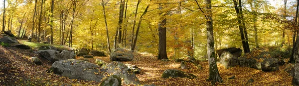 stock image France, Les Vaux de Cernay in Chevreuse valley