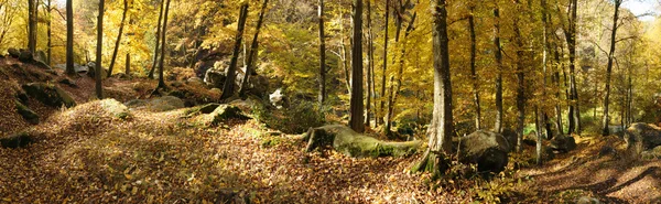 stock image France, Les Vaux de Cernay in Chevreuse valley