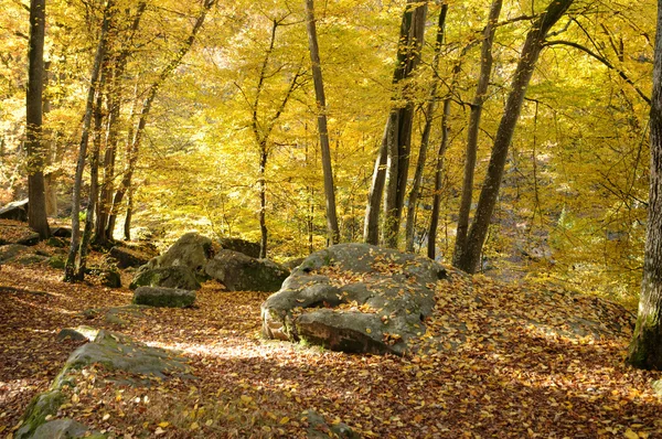 stock image France, Les Vaux de Cernay in Chevreuse valley