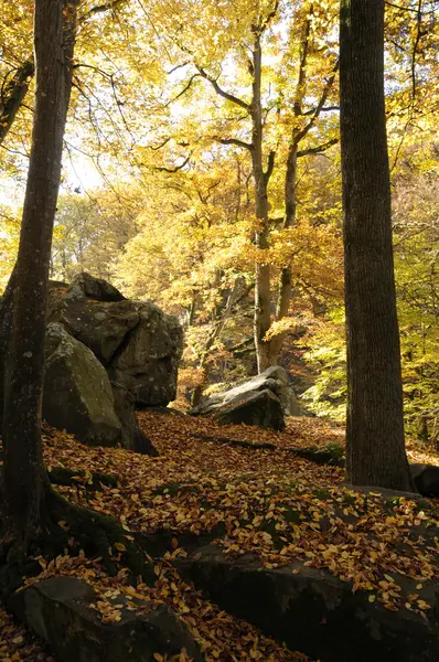 stock image France, Les Vaux de Cernay in Chevreuse valley