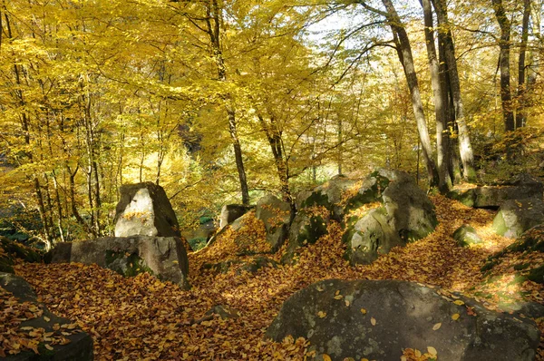 stock image France, Les Vaux de Cernay in Chevreuse valley