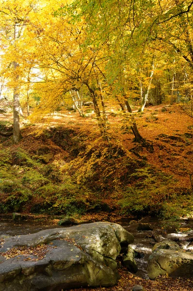 Stock image France, Les Vaux de Cernay in Chevreuse valley