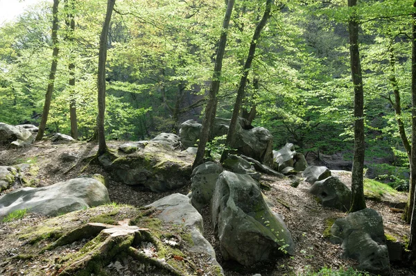 stock image France, Les Vaux de Cernay in Chevreuse valley