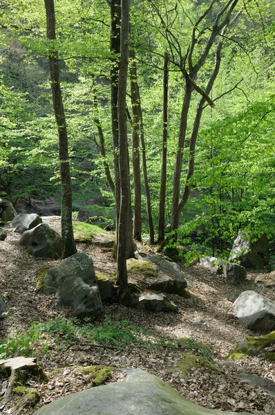 stock image France, Les Vaux de Cernay in Chevreuse valley