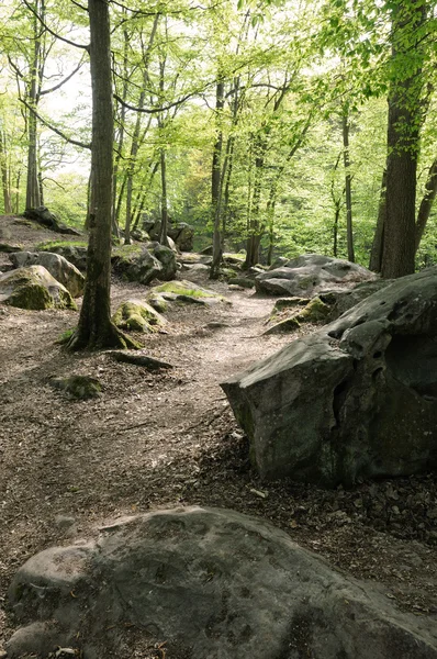 stock image France, Les Vaux de Cernay in Chevreuse valley