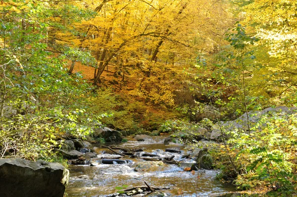 stock image France, Les Vaux de Cernay in Chevreuse valley