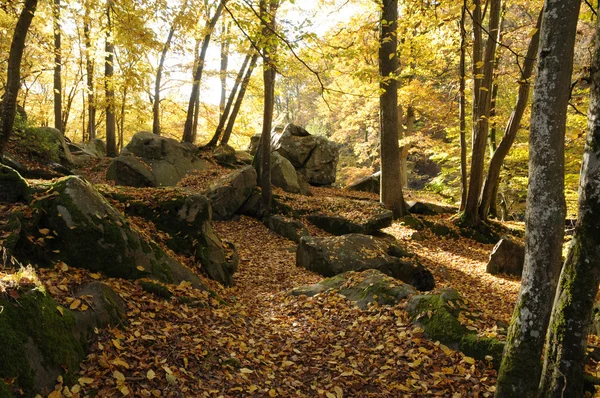 stock image France, Les Vaux de Cernay in Chevreuse valley