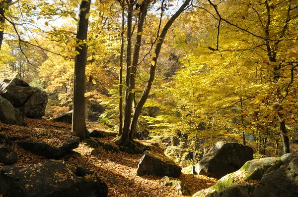 stock image France, Les Vaux de Cernay in Chevreuse valley