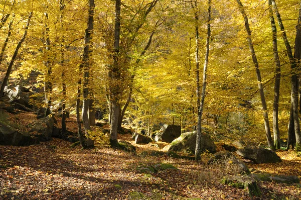 stock image France, Les Vaux de Cernay in Chevreuse valley