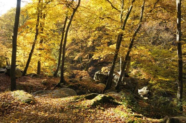 stock image France, Les Vaux de Cernay in Chevreuse valley