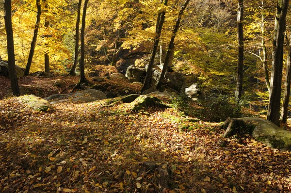 stock image France, Les Vaux de Cernay in Chevreuse valley