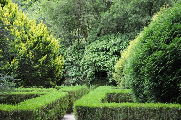 Португалия, сад Национального дворца Пены в Синтре — стоковое фото