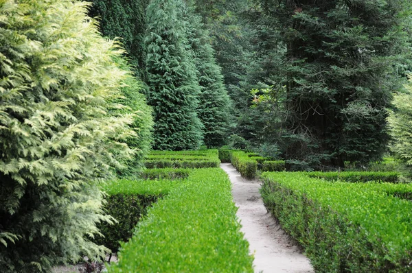 Portugalsko, zahrada pena národní palác sintra — Stock fotografie