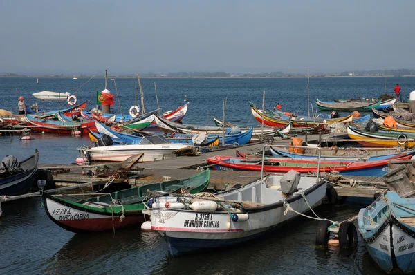 stock image Bark in Torreira fishing port in Portugal