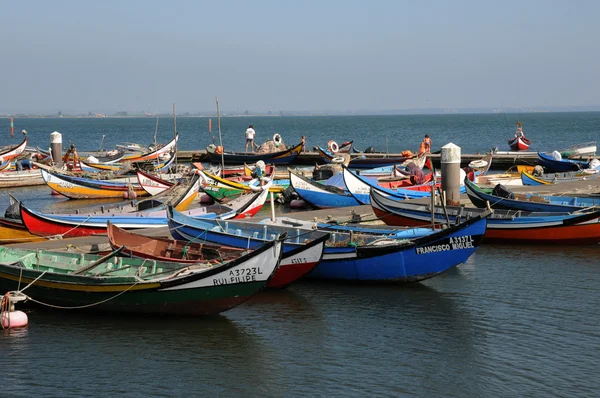 stock image Bark in Torreira fishing port in Portugal