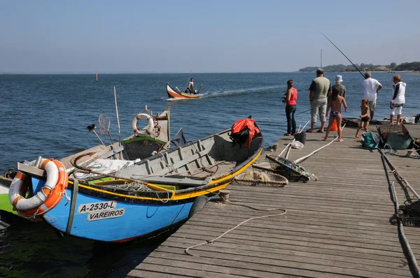 Casca no porto de pesca de Torreira em Portugal — Fotografia de Stock