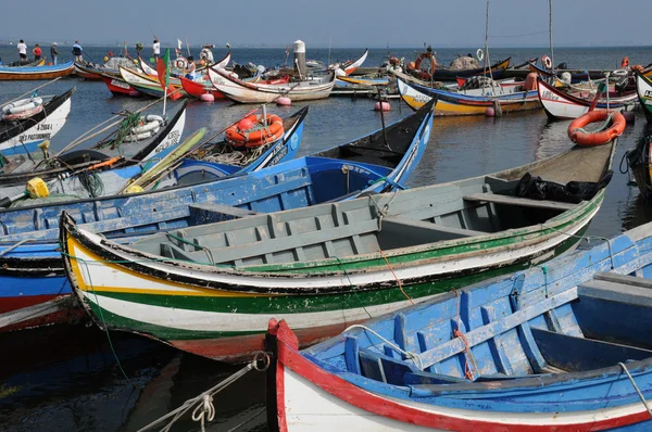 stock image Bark in Torreira fishing port in Portugal