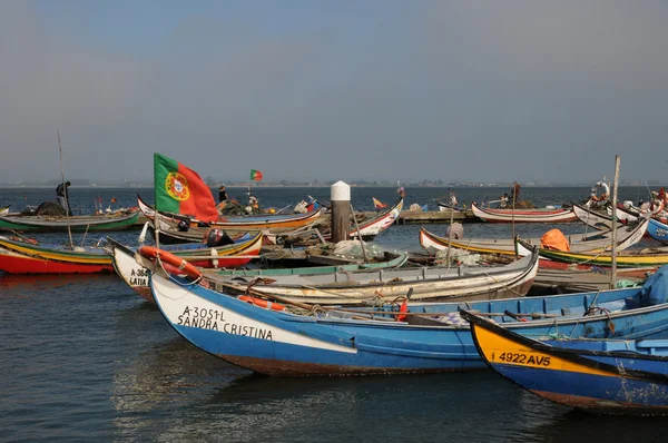 stock image Bark in Torreira fishing port in Portugal