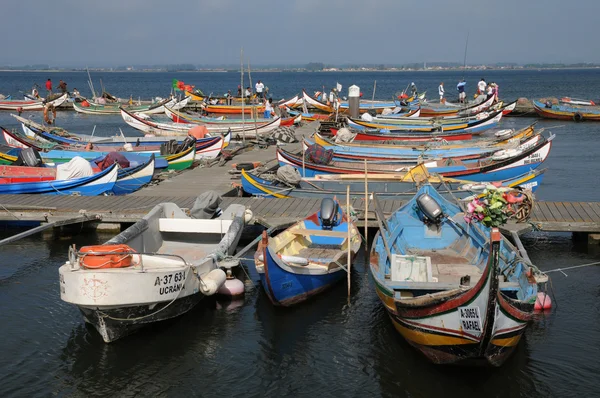 stock image Bark in Torreira fishing port in Portugal