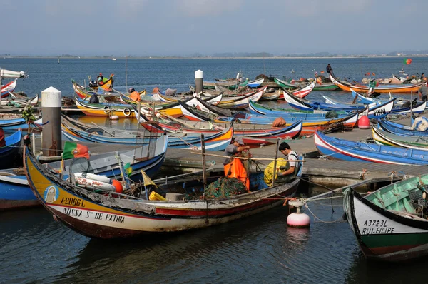 stock image Bark in Torreira fishing port in Portugal