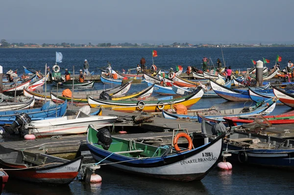 stock image Bark in Torreira fishing port in Portugal