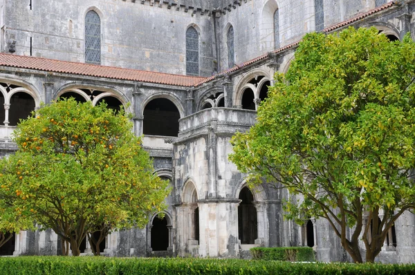 The cloister of Alcobaca monastery in Portugal — Stock Photo, Image