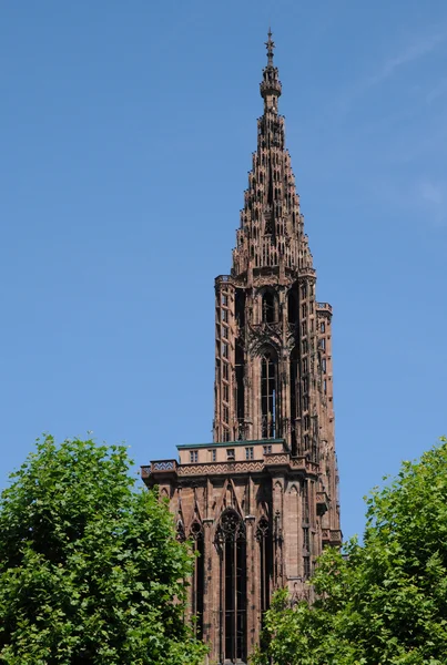 Frankrijk, kathedraal van Straatsburg in Elzas — Stockfoto