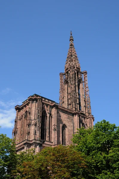 法国的阿尔萨斯地区的斯特拉斯堡大教堂 — 图库照片