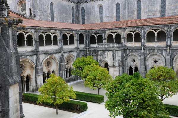 포르투갈의 Alcobaca 수도원의 회랑 — 스톡 사진