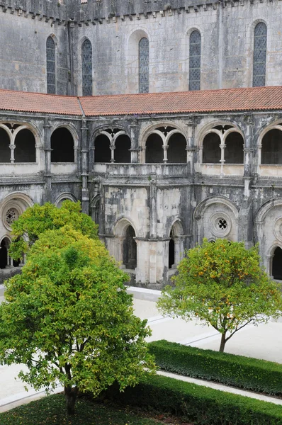 O claustro do mosteiro de Alcobaca em Portugal — Fotografia de Stock
