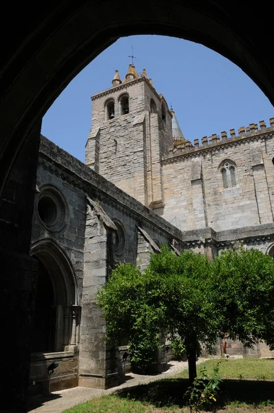 Cattedrale di Evora in Portogalloil chiostro cattedrale di Evora in — Foto Stock