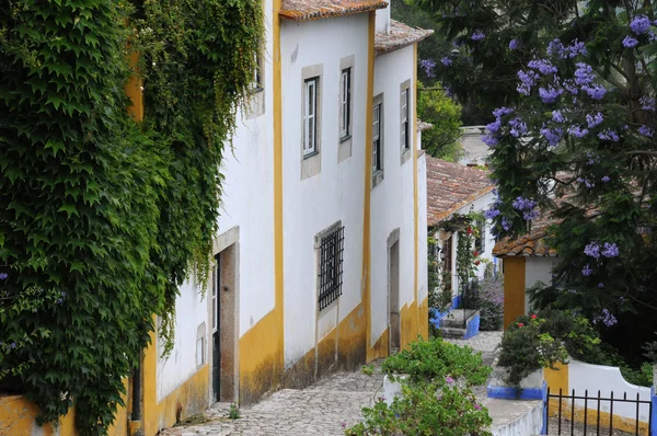 Het kleine dorp van obidos in portugal — Stockfoto