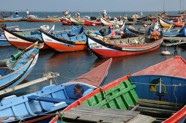 Casca no porto de pesca de Torreira em Portugal — Fotografia de Stock