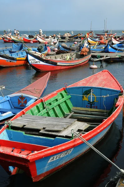 stock image Bark in Torreira fishing port in Portugal