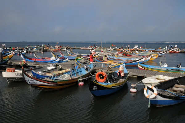 Bark in Torreira fishing port in Portugal — Stock Photo, Image