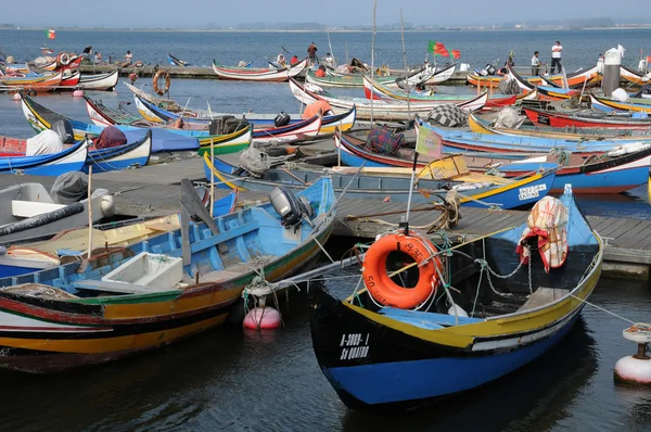 stock image Bark in Torreira fishing port in Portugal