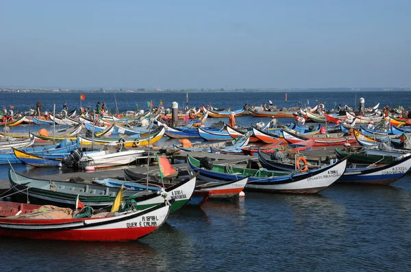 Corteza en el puerto pesquero de Torreira en Portugal — Foto de Stock