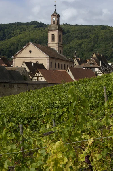Francja, winnicy Colmar w Alzacji — Zdjęcie stockowe