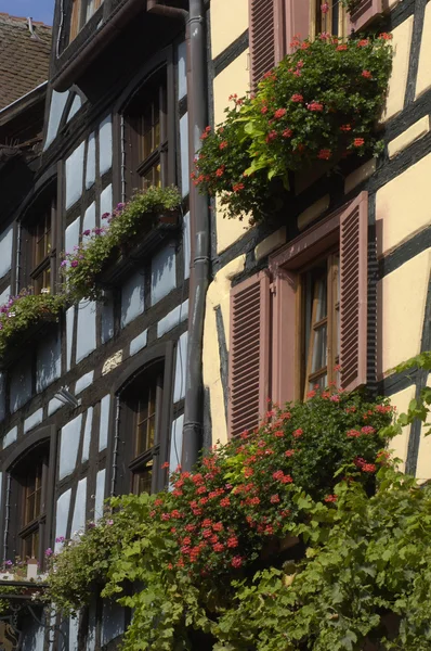 stock image France, the small village of Riquewihr in Alsace