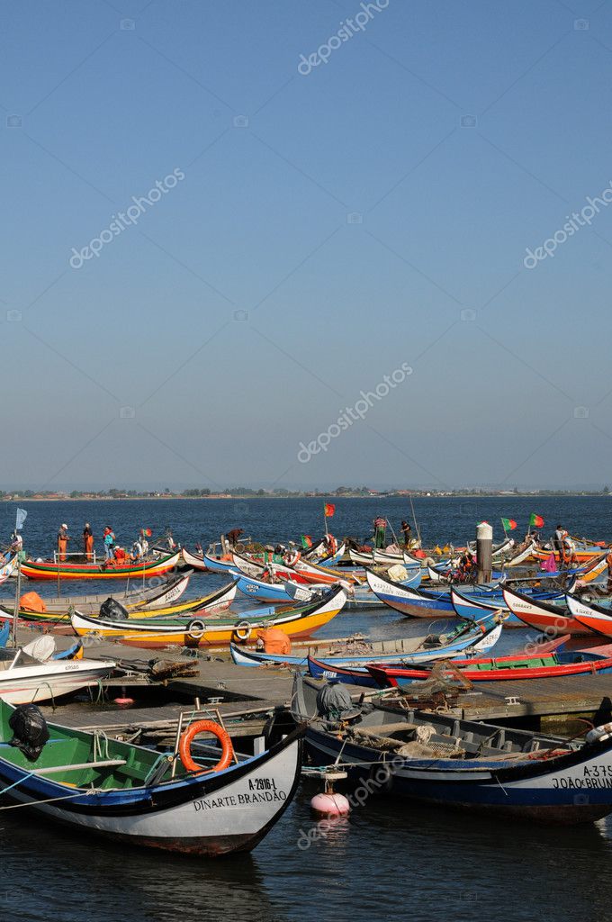 Bark In Torreira Fishing Port In Portugal Stock Photo By C Packshot 9060268