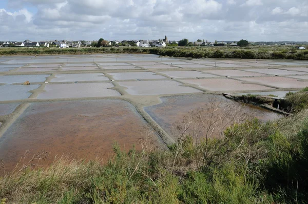 Francie, soli odpařováním rybník v guerande — Stock fotografie