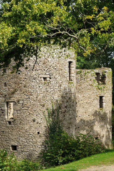 France, le château de Ranrouet à Herbignac — Photo