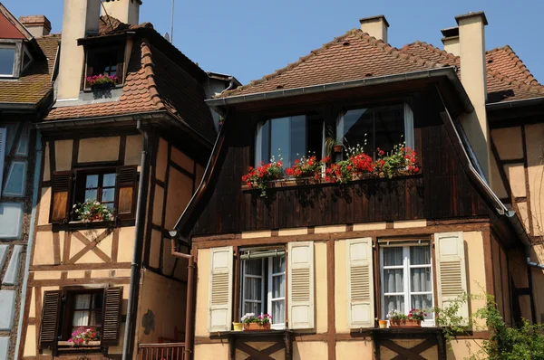 Francia, Alsacia, casa renacentista en Colmar —  Fotos de Stock