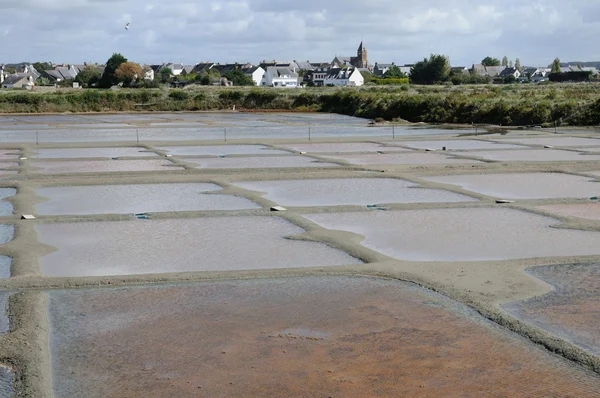 Francie, soli odpařováním rybník v guerande — Stock fotografie