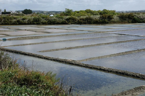 Frankrike, salt avdunstning damm i Guérande — Stockfoto