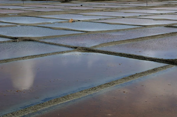 stock image France, the salt evaporation pond in Guerande