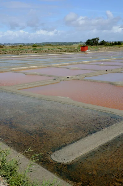 Frankrike, salt avdunstning damm i Guérande — Stockfoto