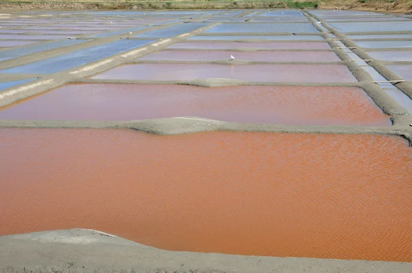 stock image France, the salt evaporation pond in Guerande