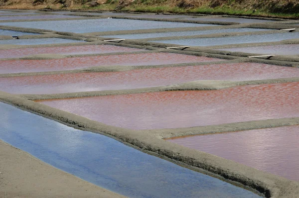 stock image France, the salt evaporation pond in Guerande